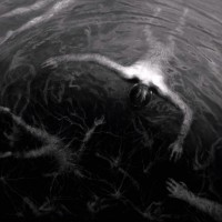 The Approaching Roar