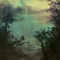 Coltsblood/Un [Split]