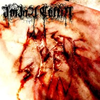 Waste Of Skin
