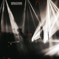 From The Ashes Of The Past