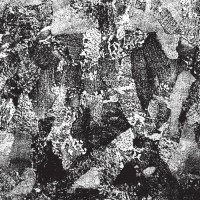 Auditory Trauma: Full Of Hell Isolation Sessions