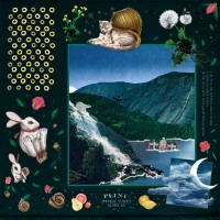 Impulse Voices (Remixes EP)