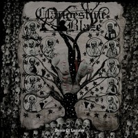 Secrets Of Laceration