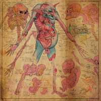 The Fundamental Slimes And Humours (disabled)