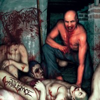 33 In The Crawl Space