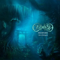 Ш​о​р​о​х​и (Live In Zelenogorsk)