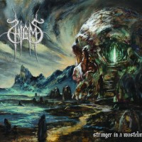 Stranger In A Wasteland