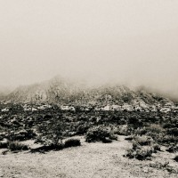 Mnemonic: Ambient Mosaic
