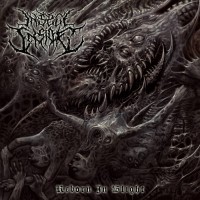 Reborn In Blight