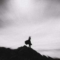 The Weight Of Life