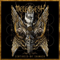Sentinels Of Shamash