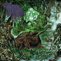 Consumed By Frogs