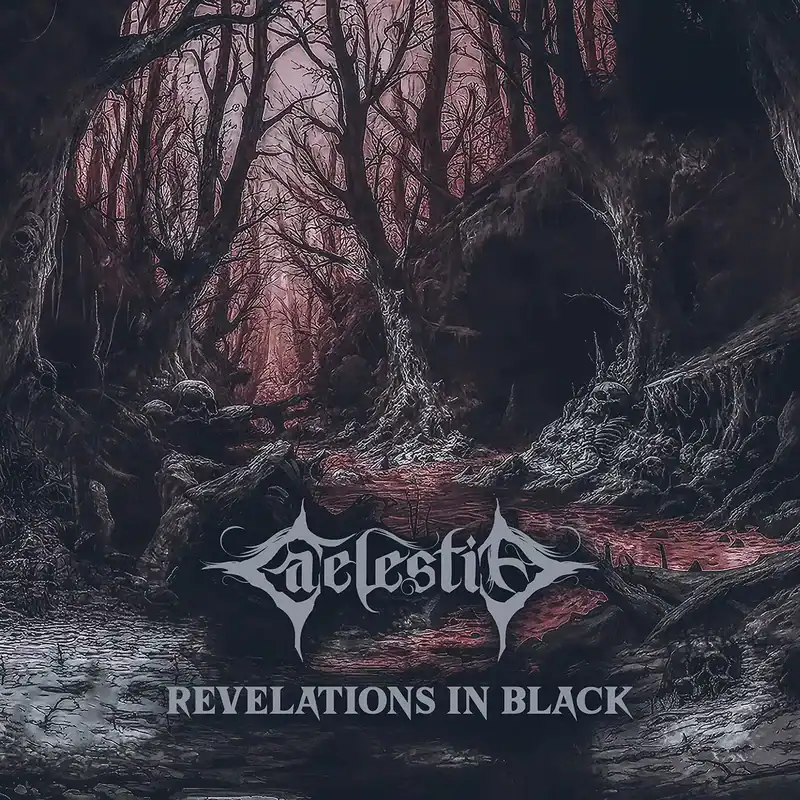 Revelations In Black